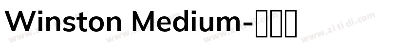Winston Medium字体转换